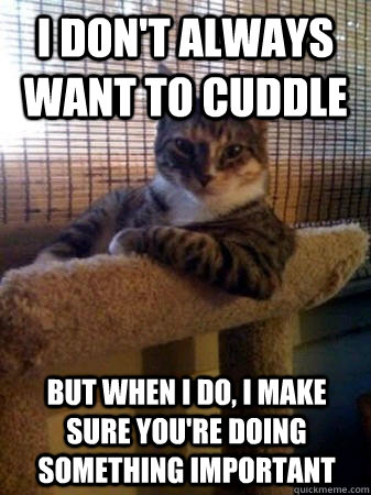 I don't always want to cuddle but when I do, I make sure you're doing something important  The Most Interesting Cat in the World