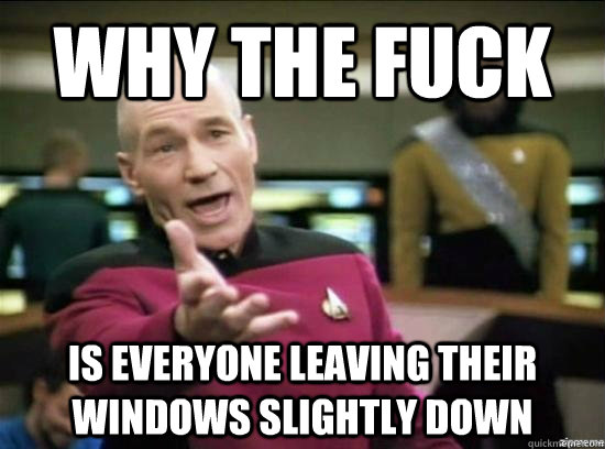 Why the fuck Is everyone leaving their windows slightly down  Annoyed Picard HD