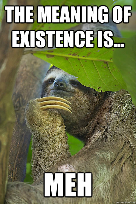 The MEANING OF EXISTENCE IS... Meh  Philososloth
