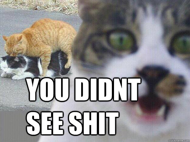 YOU DIDNT SEE SHIT  Rape cat