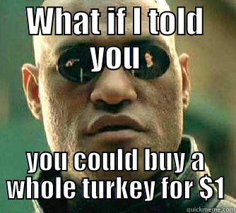 WHAT IF I TOLD YOU YOU COULD BUY A WHOLE TURKEY FOR $1 Matrix Morpheus