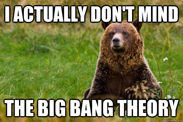 I actually don't mind the big bang theory  Blatant Statement Bear