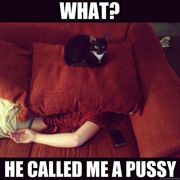 What? He called me a Pussy  jealous cat