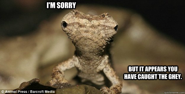 I'm sorry but it appears you have caught the ghey.  - I'm sorry but it appears you have caught the ghey.   Misc