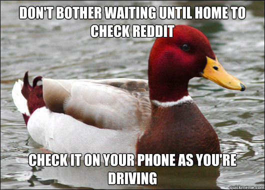 Don't bother waiting until home to check Reddit Check it on your phone as you're driving  Malicious Advice Mallard