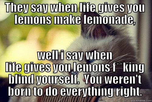 THEY SAY WHEN LIFE GIVES YOU LEMONS MAKE LEMONADE, WELL I SAY WHEN LIFE GIVES YOU LEMONS F**KING BLIND YOURSELF.  YOU WEREN'T BORN TO DO EVERYTHING RIGHT. First World Problems Cat