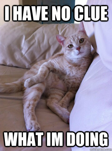 I have no clue what im doing  careless cat