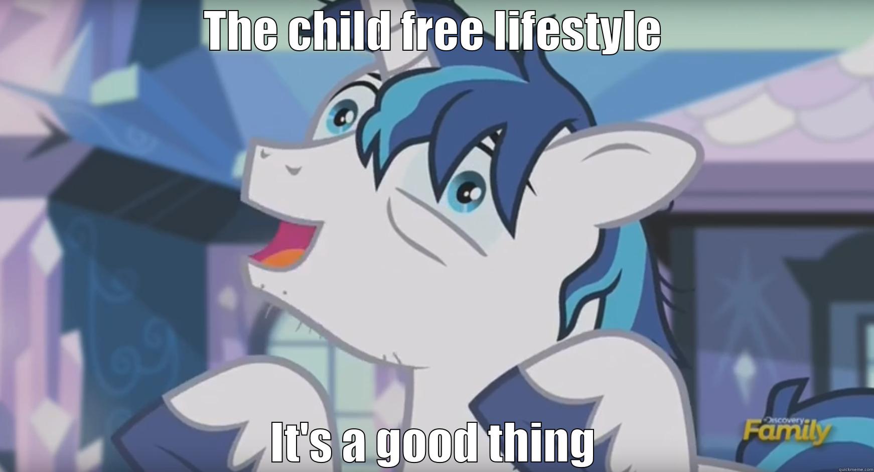 THE CHILD FREE LIFESTYLE IT'S A GOOD THING Misc