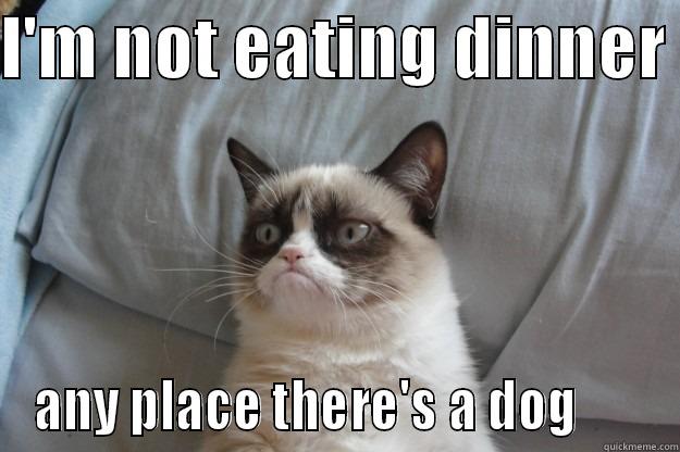 I'M NOT EATING DINNER  ANY PLACE THERE'S A DOG       Grumpy Cat
