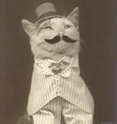  
  Original Business Cat