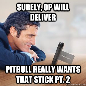Surely, OP will deliver Pitbull really wants that stick pt. 2  