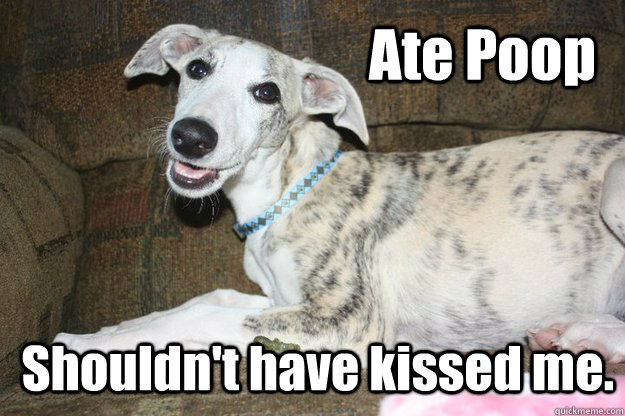Ate Poop Shouldn't have kissed me.  