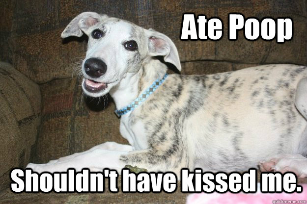 Ate Poop Shouldn't have kissed me. - Ate Poop Shouldn't have kissed me.  Happy Puppy