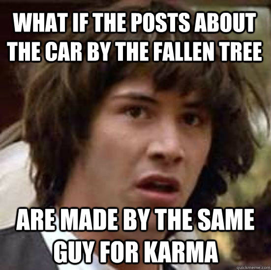 What if the posts about the car by the fallen tree are made by the same guy for karma - What if the posts about the car by the fallen tree are made by the same guy for karma  conspiracy keanu