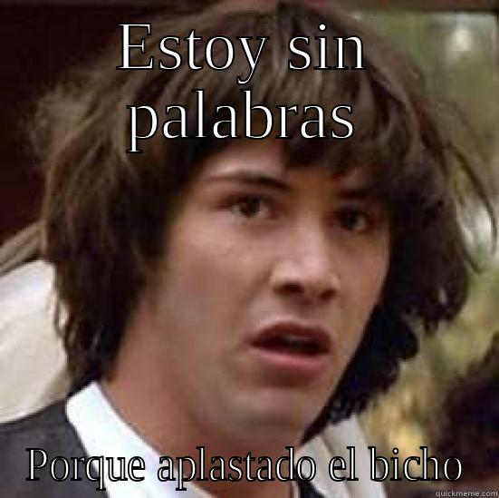 ESTOY SIN PALABRAS PORQUE APLASTADO EL BICHO conspiracy keanu