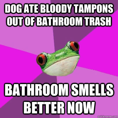 DOG ATE BLOODY TAMPONS OUT OF BATHROOM TRASH BATHROOM SMELLS BETTER NOW  Foul Bachelorette Frog