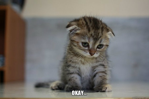           Okay...  Sad Kitten