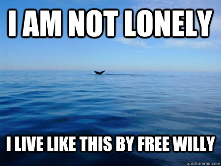 i am not lonely i live like this by free willy  Loneliest Whale in the World