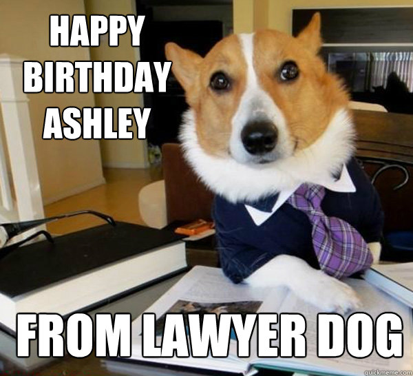 Happy Birthday Ashley from Lawyer Dog  Lawyer Dog