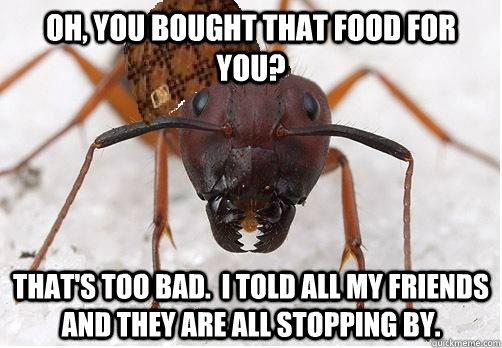 Oh, you bought that food for you? That's too bad.  I told all my friends and they are all stopping by.  Scumbag Ant