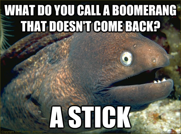 What do you call a boomerang that doesn't come back? A stick - What do you call a boomerang that doesn't come back? A stick  Bad Joke Eel