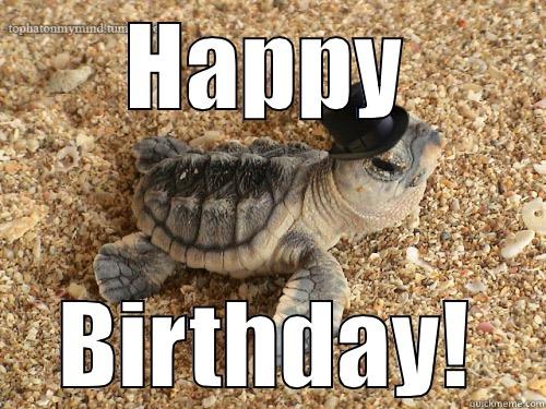 HAPPY BIRTHDAY! Misc