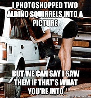 I photoshopped two albino squirrels into a picture But we can say I saw them if that's what you're into - I photoshopped two albino squirrels into a picture But we can say I saw them if that's what you're into  Karma Whore