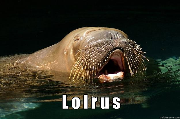 L o l r u s


  