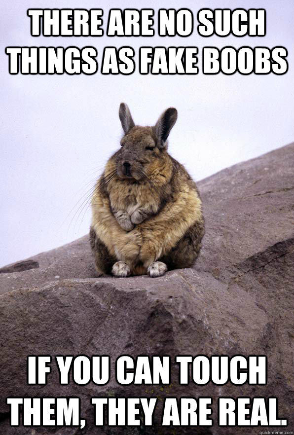 There are no such things as fake boobs If you can touch them, they are real.  Wise Wondering Viscacha