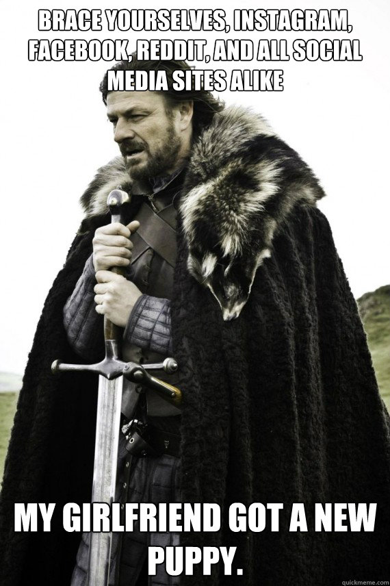 Brace yourselves, instagram, facebook, reddit, and all social media sites alike My girlfriend got a new puppy.  Brace yourself