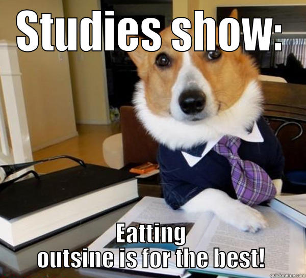 STUDIES SHOW: EATTING OUTSINE IS FOR THE BEST! Lawyer Dog