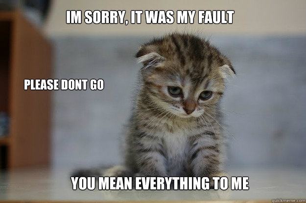 Im sorry, It was my Fault Please dont go You mean everything to me - Im sorry, It was my Fault Please dont go You mean everything to me  Sad Kitten