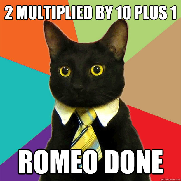 2 Multiplied by 10 plus 1 romeo done - 2 Multiplied by 10 plus 1 romeo done  Business Cat