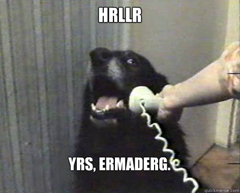 HRllr Yrs, ermaderg. - HRllr Yrs, ermaderg.  yes this is dog