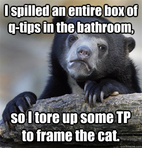 I spilled an entire box of q-tips in the bathroom, so I tore up some TP to frame the cat.  Confession Bear