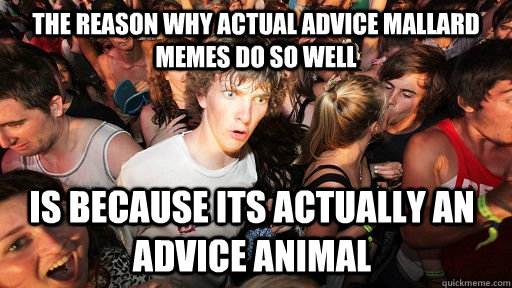 the reason why actual advice mallard memes do so well is because its actually an advice animal   Sudden Clarity Clarence