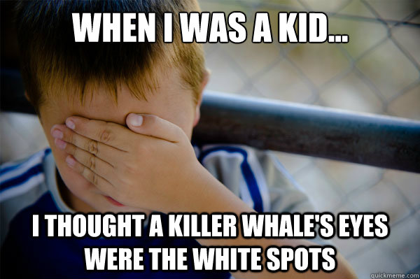 When I was a kid... I thought a killer whale's eyes were the white spots - When I was a kid... I thought a killer whale's eyes were the white spots  Confession kid