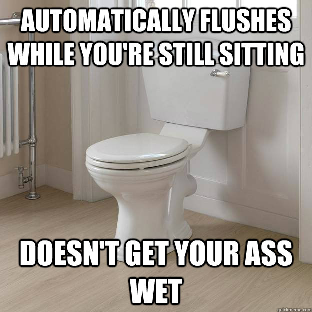 Automatically Flushes While You're Still sitting Doesn't get your ass wet  Good Guy Toilet