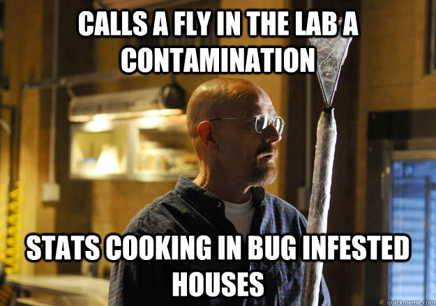 calls a fly in the lab a contamination stats cooking in bug infested houses - calls a fly in the lab a contamination stats cooking in bug infested houses  walter vs fly