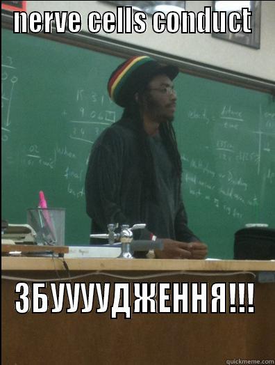 NERVE CELLS CONDUCT  ЗБУУУУДЖЕННЯ!!! Rasta Science Teacher