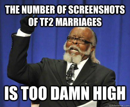 the number of screenshots of tf2 marriages is too damn high  Too Damn High