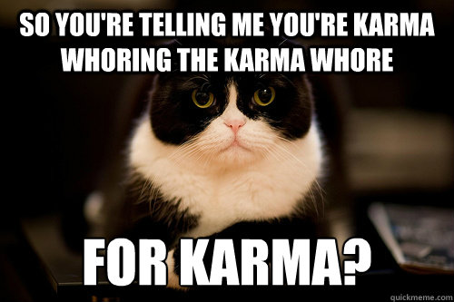 so you're telling me you're karma whoring the karma whore for karma? - so you're telling me you're karma whoring the karma whore for karma?  disappointed cat