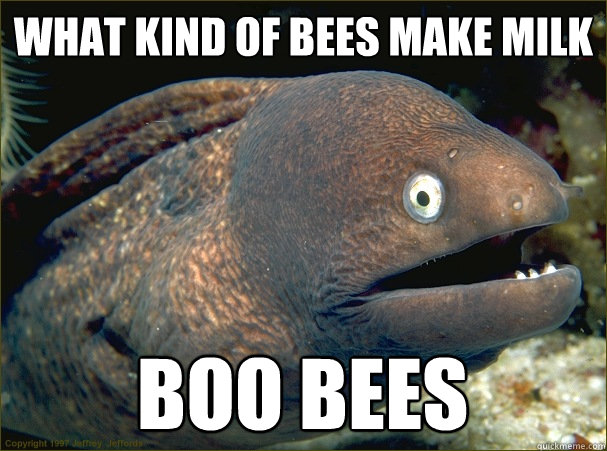 What kind of bees make milk boo bees - What kind of bees make milk boo bees  Bad Joke Eel