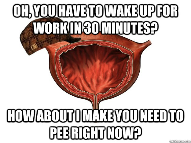 Oh, you have to wake up for work in 30 minutes? How about I make you need to pee right now?  Scumbag Bladder