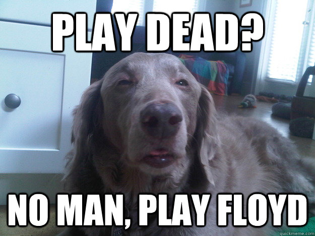 Play Dead? No man, play floyd - Play Dead? No man, play floyd  10 Dog