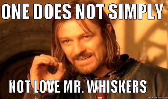 ONE DOES NOT SIMPLY  NOT LOVE MR. WHISKERS     Boromir