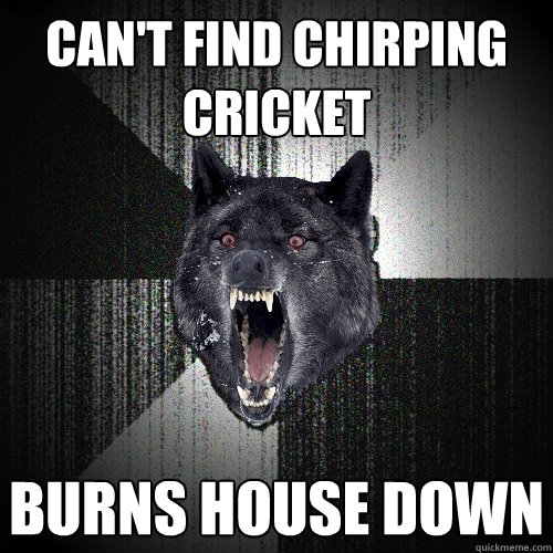 CAN'T FIND CHIRPING CRICKET BURNS HOUSE DOWN  Insanity Wolf