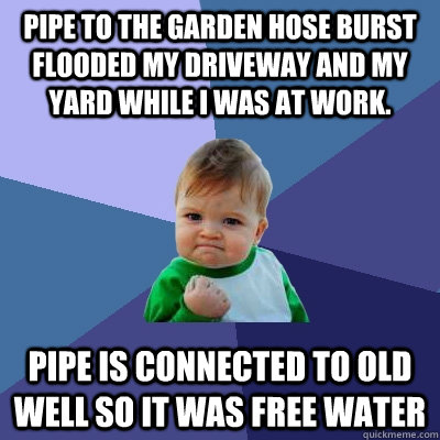 Pipe to the garden hose burst  flooded my driveway and my yard while i was at work. pipe is connected to old well so it was free water  Success Kid
