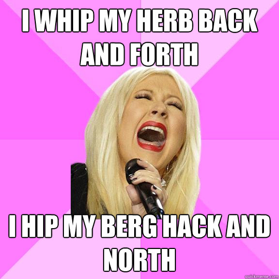 i whip my herb back and forth i hip my berg hack and north  Wrong Lyrics Christina