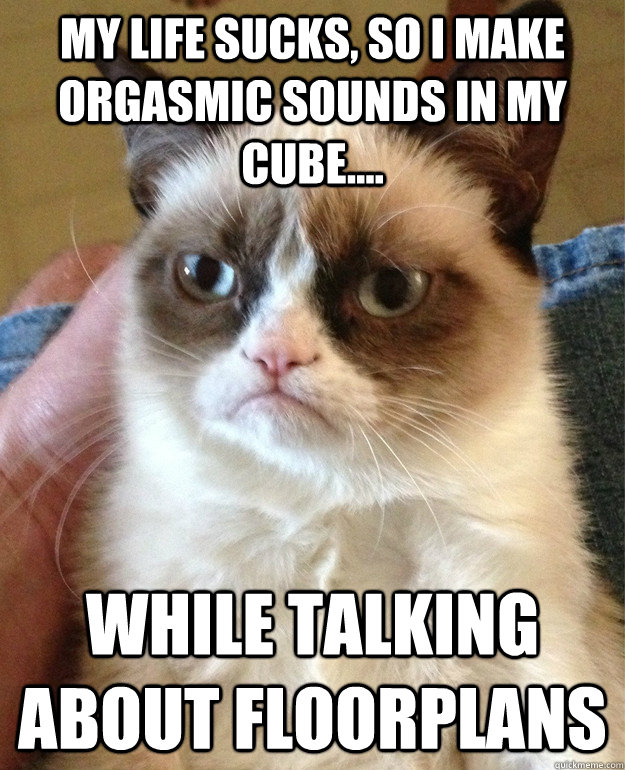 My life sucks, so I make orgasmic sounds in my cube.... While talking about floorplans  Grumpy Cat